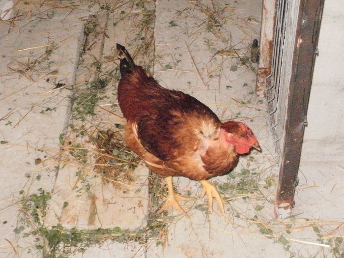 P9070032
