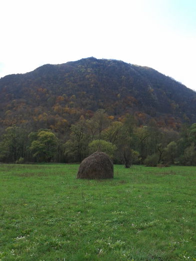 2013-10-19 12.45.06