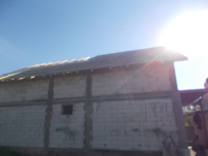 DSCN0368