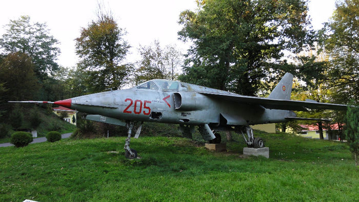 DSC04160 - Weekend la Arsenal Park Orastie