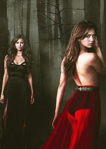 Tvd (4)
