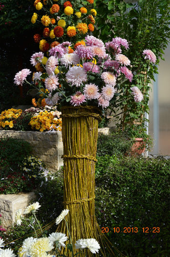 DSC_0121 - 2013-Expozitia de flori de toamna