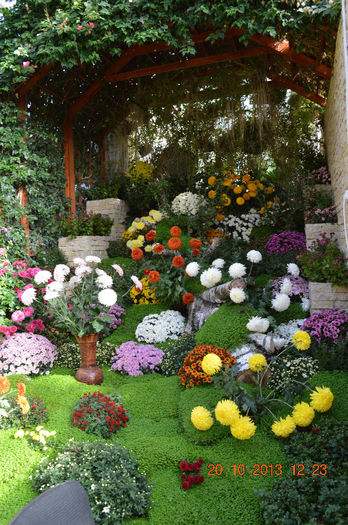 DSC_0123 - 2013-Expozitia de flori de toamna