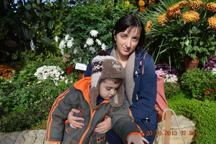DSC_0125 - 2013-Expozitia de flori de toamna
