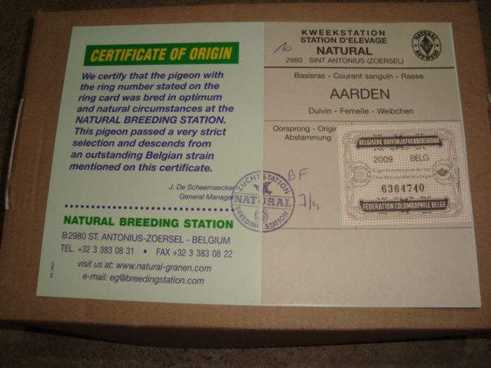 oferta super natural 015