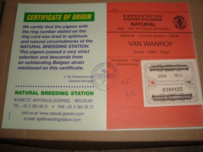 oferta super natural 022