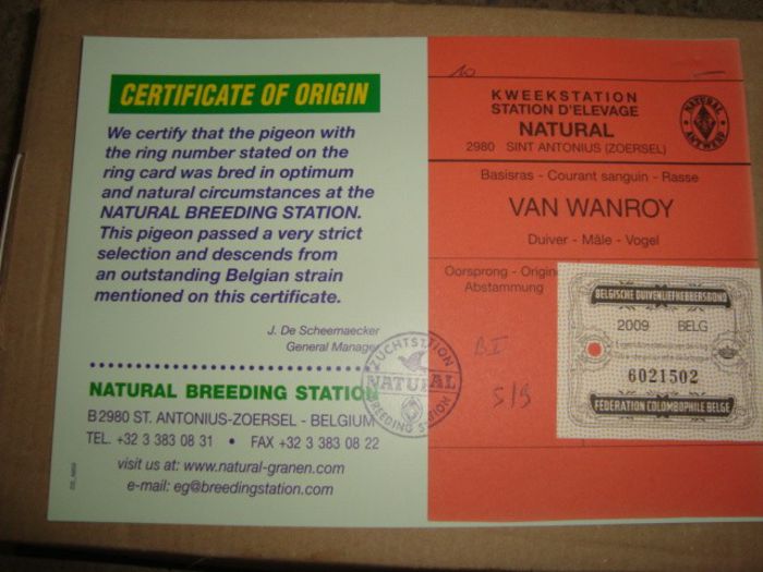 oferta super natural 034