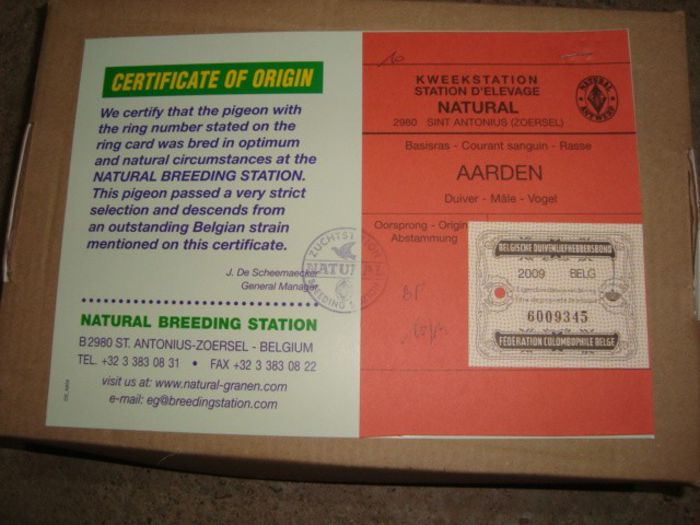 oferta super natural 040