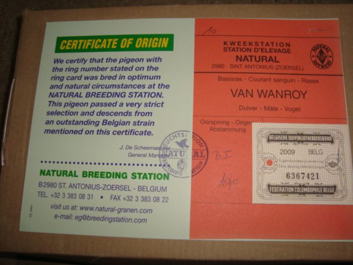 oferta super natural 048