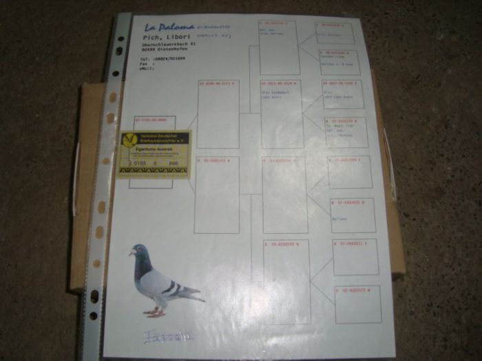 oferta super natural 025