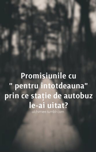 http%3A%2F%2F24.media.tumblr.com%2F791f9bfeec04918cd29210c226388ae0%2Ftumblr_muimlelUzY1rxj8ifo1_500