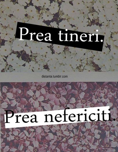 http%3A%2F%2F24.media.tumblr.com%2F2a9e089078dadba6f0b958b8b0d38dd3%2Ftumblr_mm2z0dw0ZA1r292rao1_500