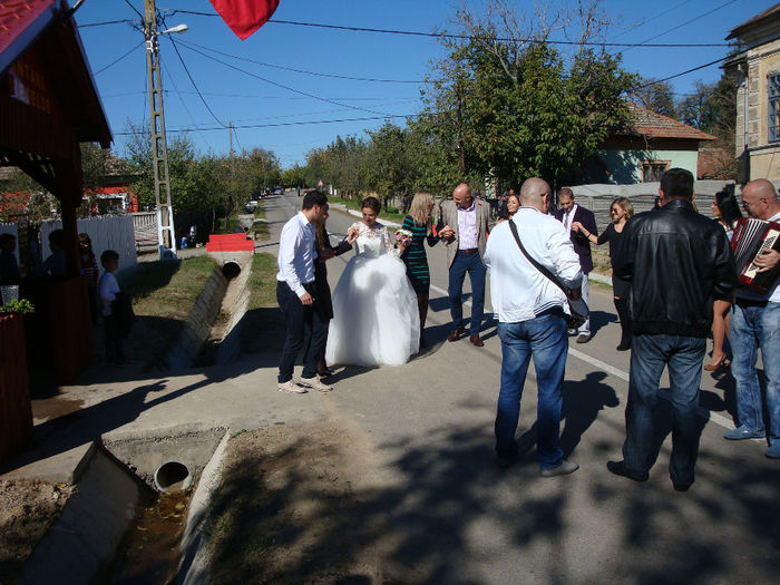 DSC03290