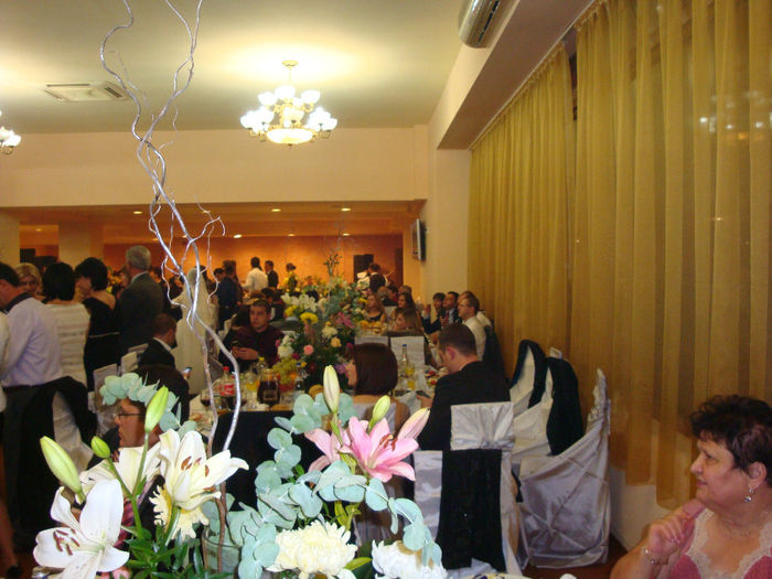 DSC03416