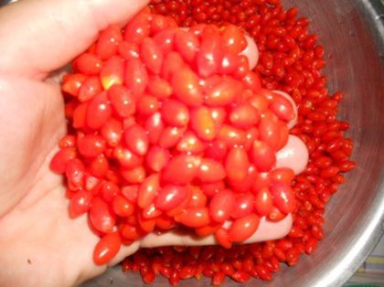 Goji pentru dulceata 2012