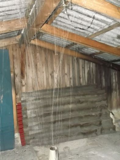 STALACTITA "PAIANJEN" in pod