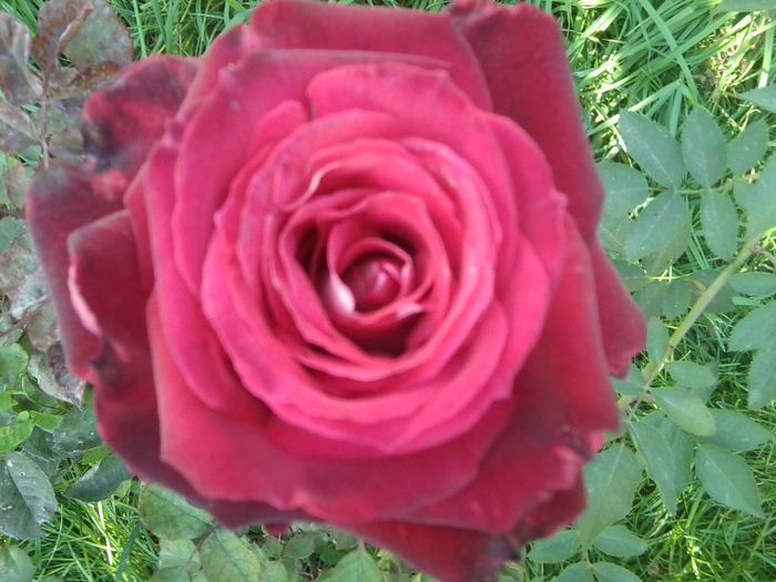 Fotografie8611 - talmes-balmes 2013