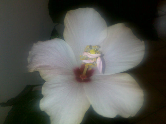 131020131569 - hibi 2013