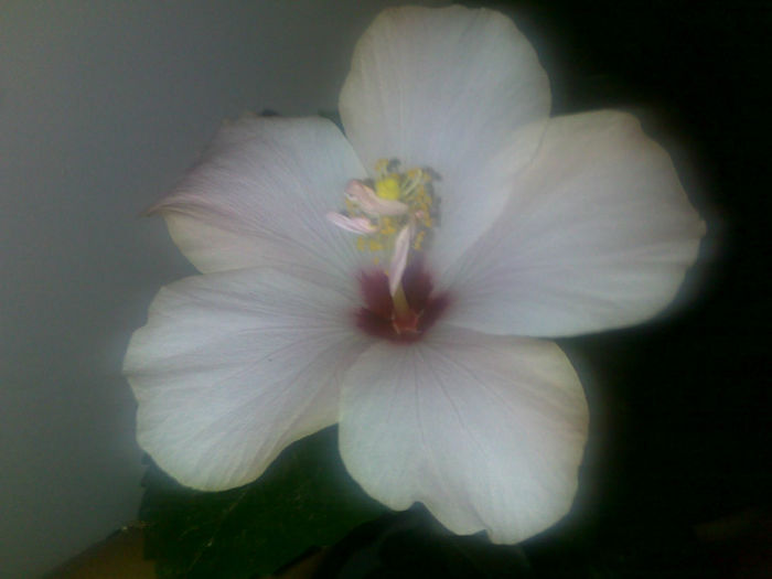 131020131572 - hibi 2013