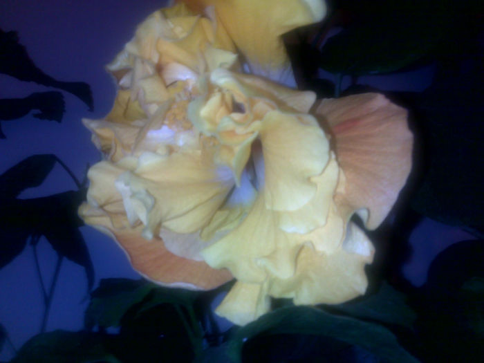 151020131581 - hibi 2013