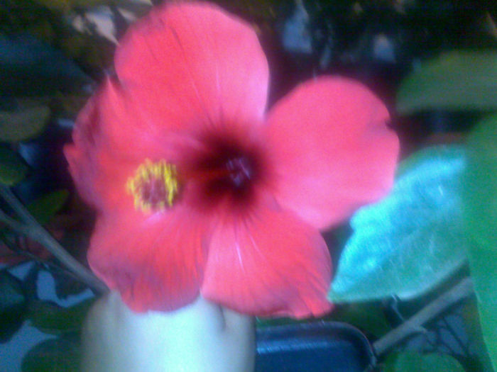 061020131539 - hibi 2013