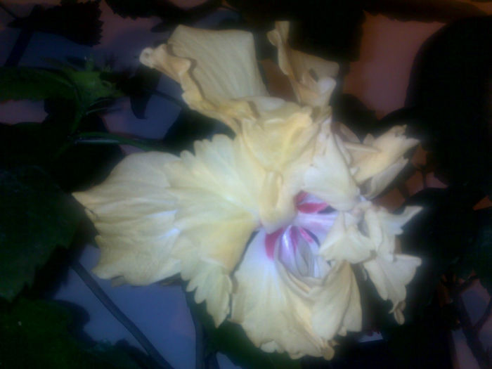 091020131544 - hibi 2013