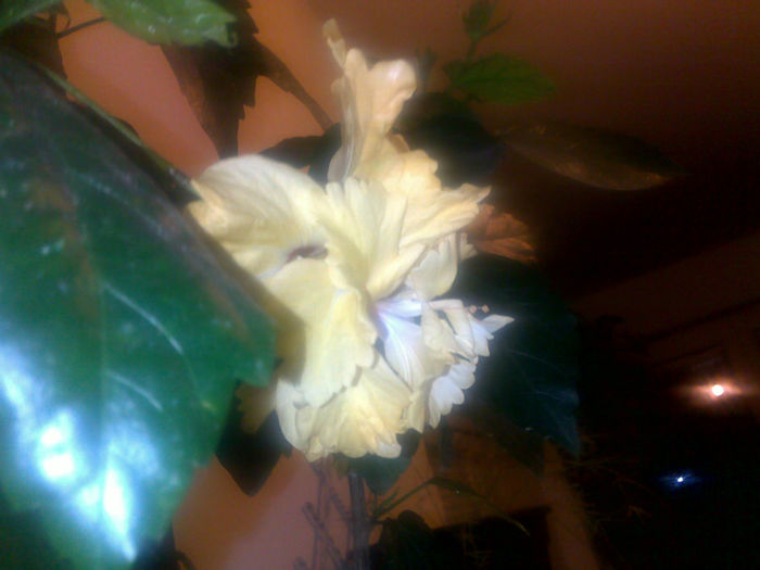 091020131545 - hibi 2013