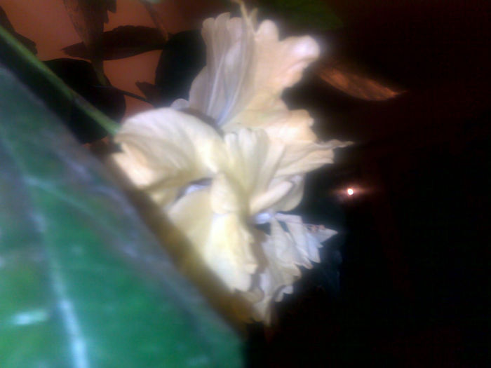 091020131546 - hibi 2013