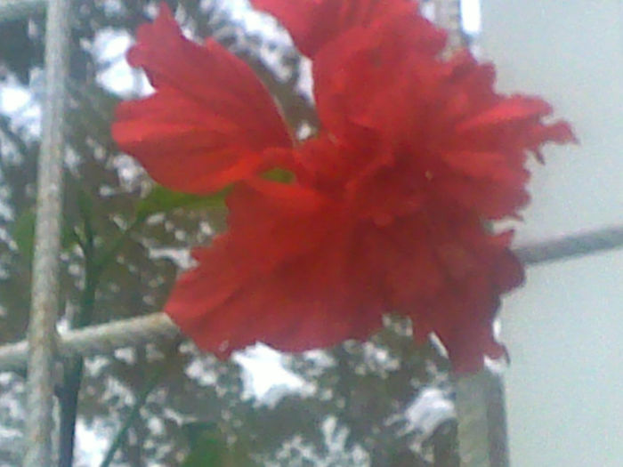 280920131528 - hibi 2013