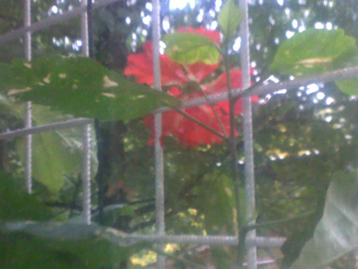 280920131532 - hibi 2013