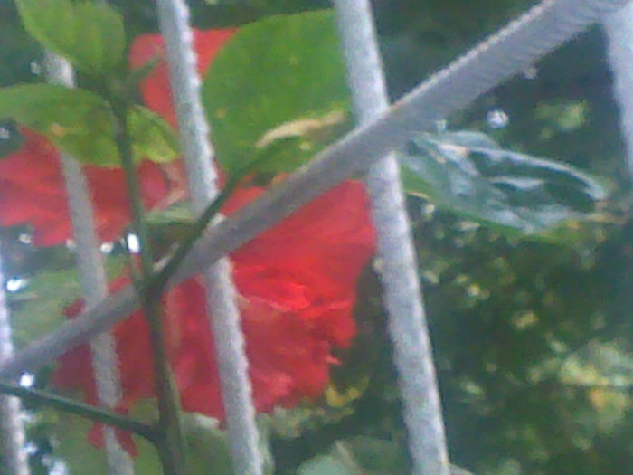 280920131534 - hibi 2013