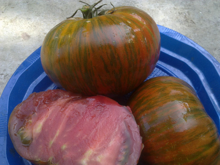 110920131632 - TOMATE CHOCOLATE STRIPES