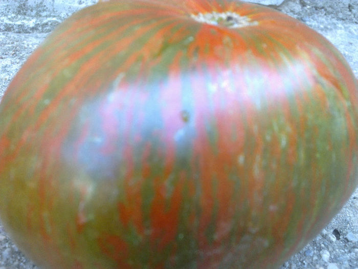 090820131448 - TOMATE CHOCOLATE STRIPES