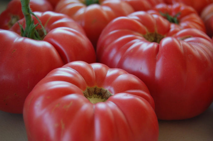 tomate mari romanesti