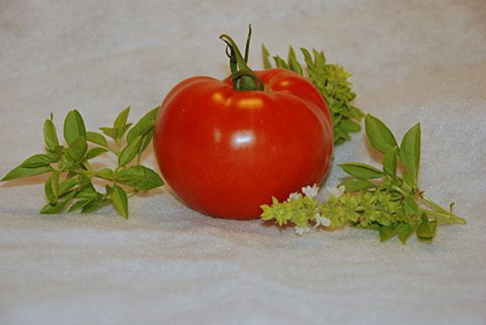 Tomate romanesti de vaslui