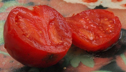 tomate fara arac