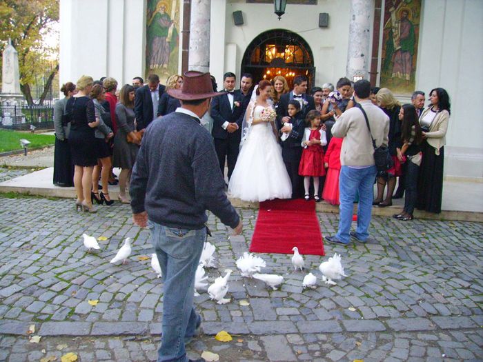 059 - Porumbei pentru nunta