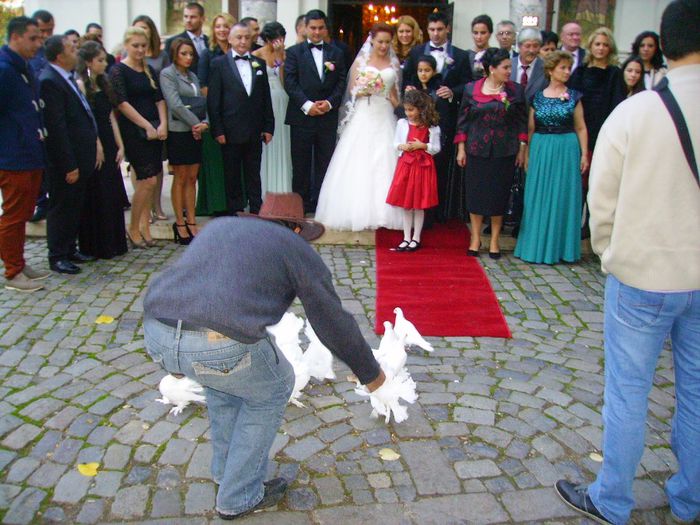 062 - Porumbei pentru nunta