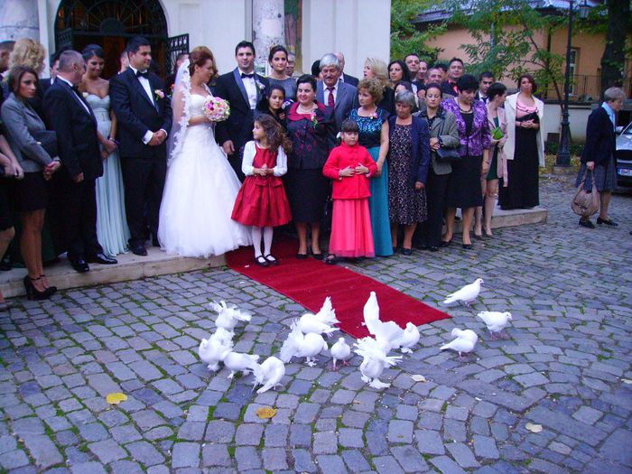 063 - Porumbei pentru nunta