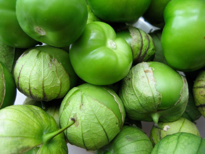 tomatillo green - TOMATE TOMATILLO GREEN