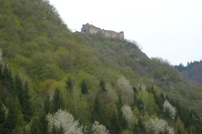 S6300567 - curtea de arges