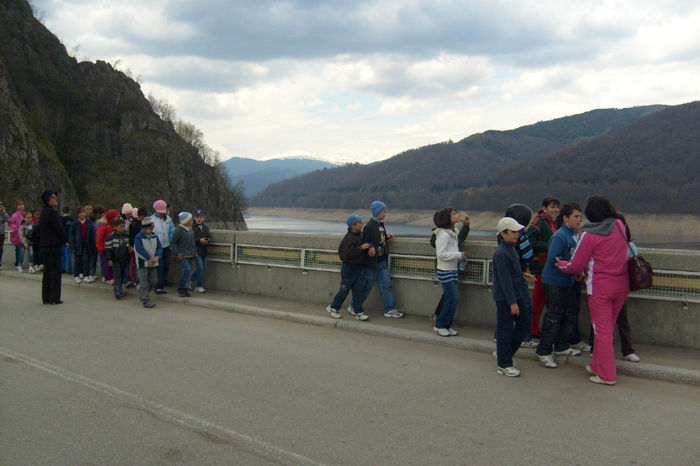 S6300574 - curtea de arges