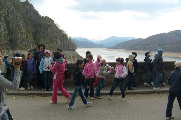 S6300579 - curtea de arges