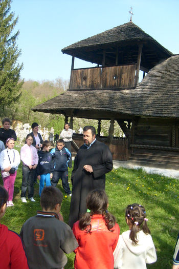 S6300597 - curtea de arges