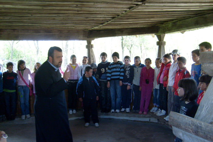 S6300600 - curtea de arges