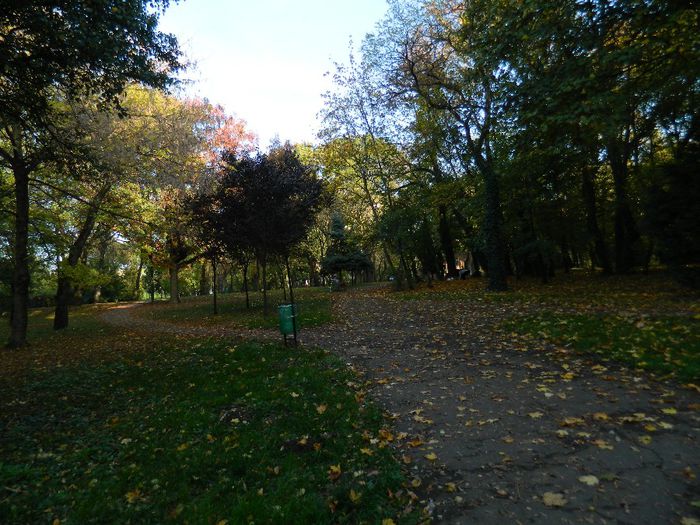 DSCN5739