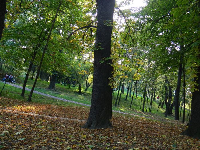 DSCN5787