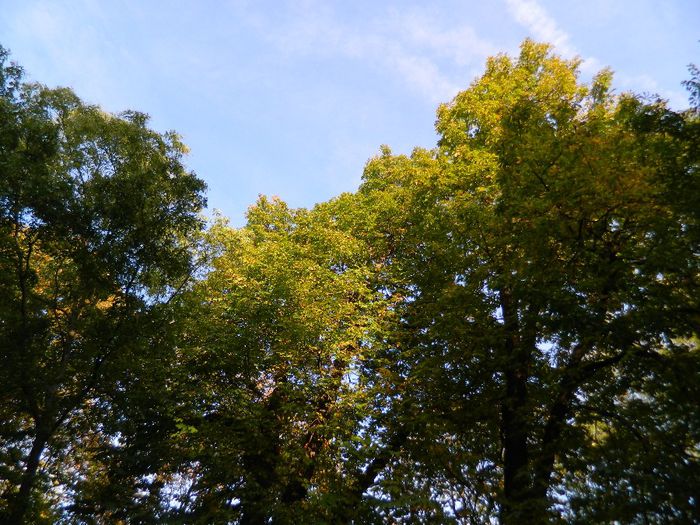 DSCN5796