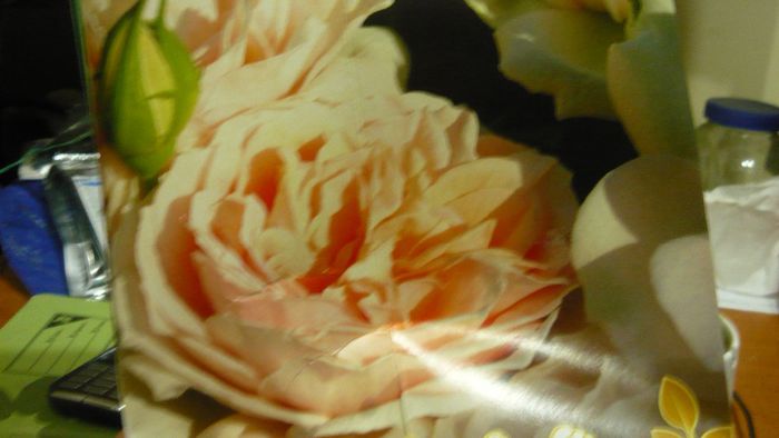 garden of roses - x 2013 achizitii