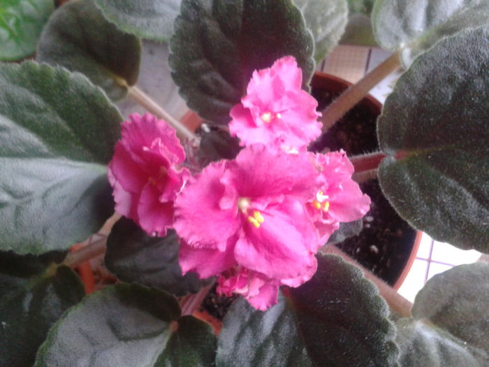 2013-10-25 09.23.07; No name
